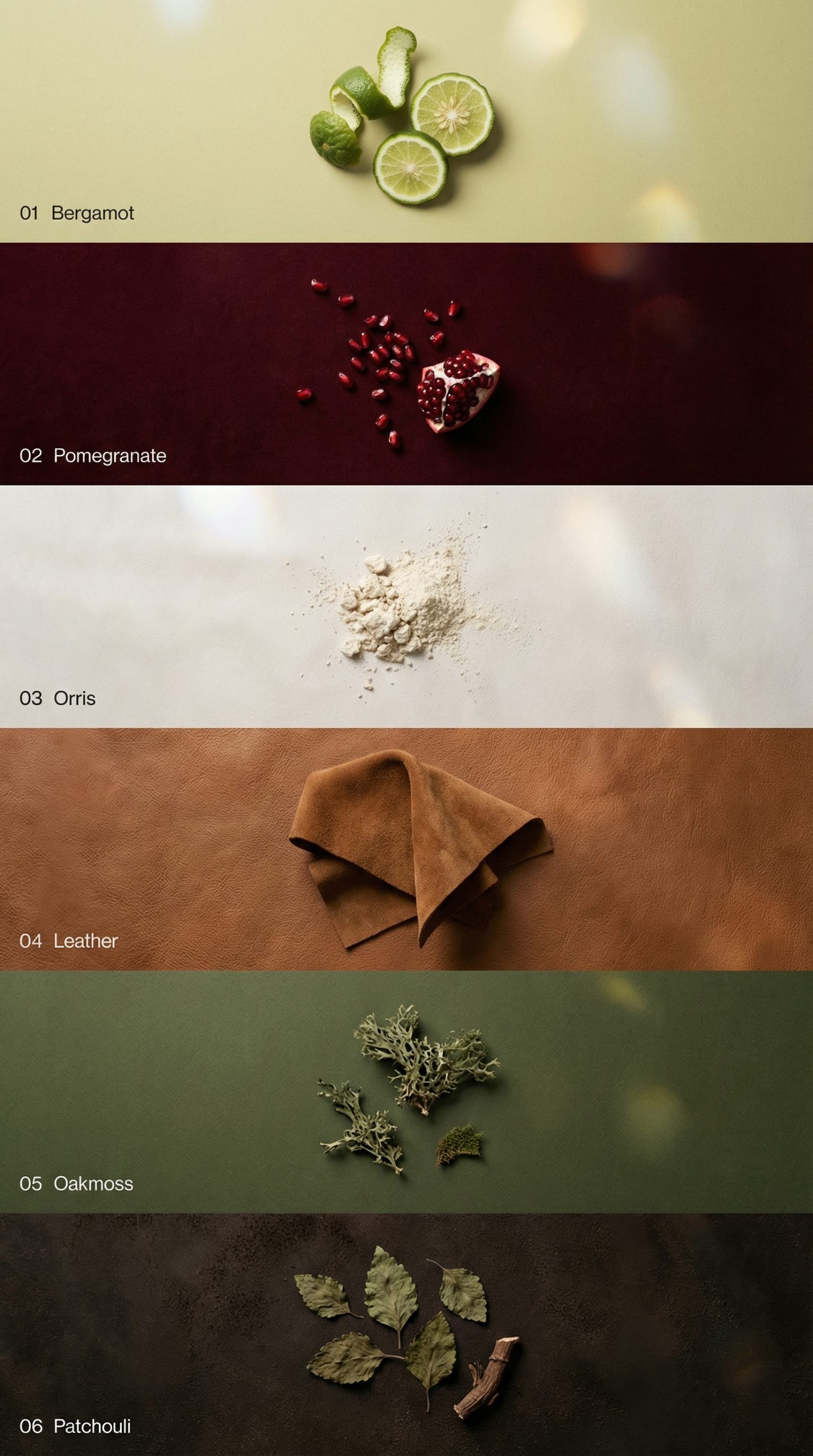 32b245fb-e95f-44a3-bd7e-6233eacee34b-scaled-1