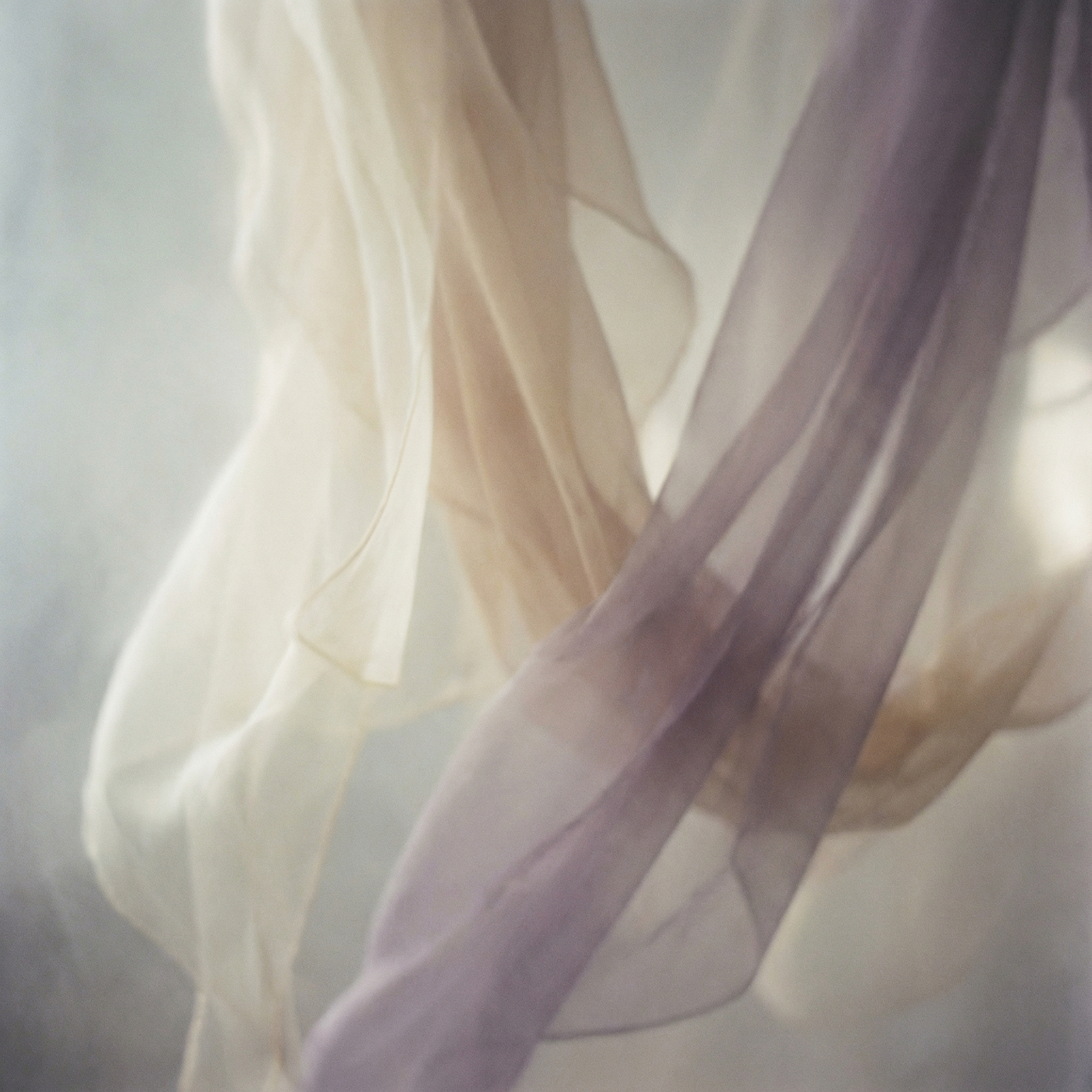 847d7008-4016-43de-aa8c-0011a4458c32