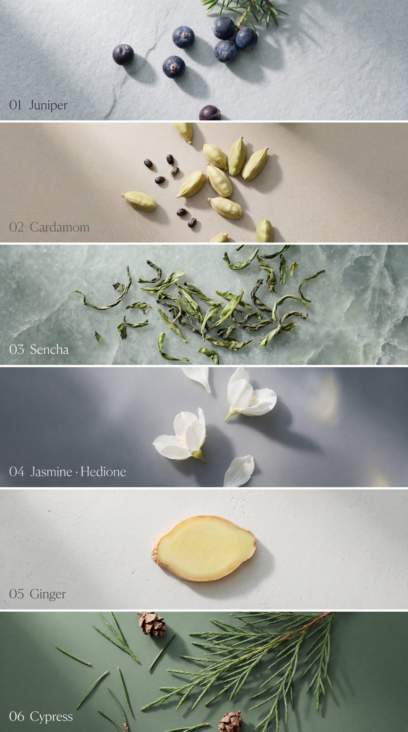 High-end_perfume_scent_card_im_Nano_Banana_Pro_35143-scaled-1