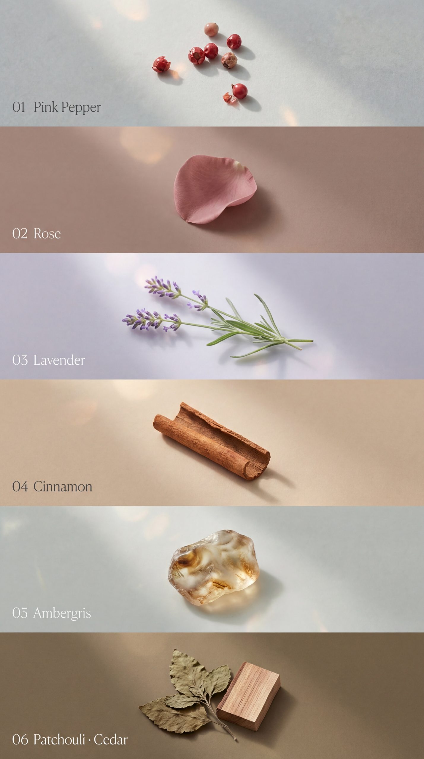 High-end_perfume_scent_card_im_Nano_Banana_Pro_82019-scaled-1