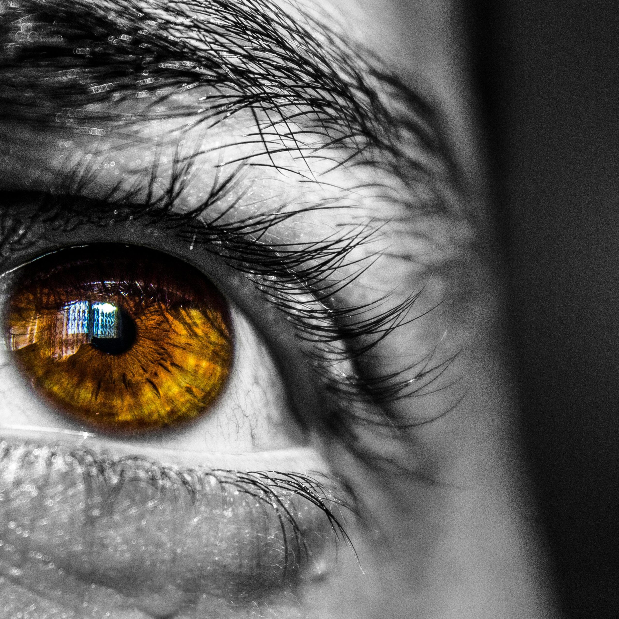 amber-alchemist-mood-scaled-1