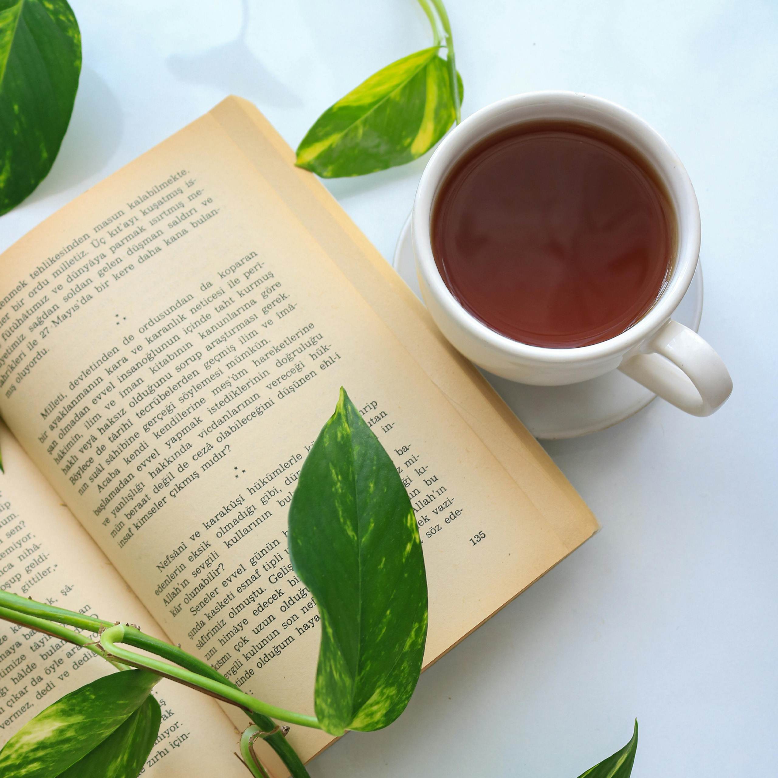 fireside-almond-mood