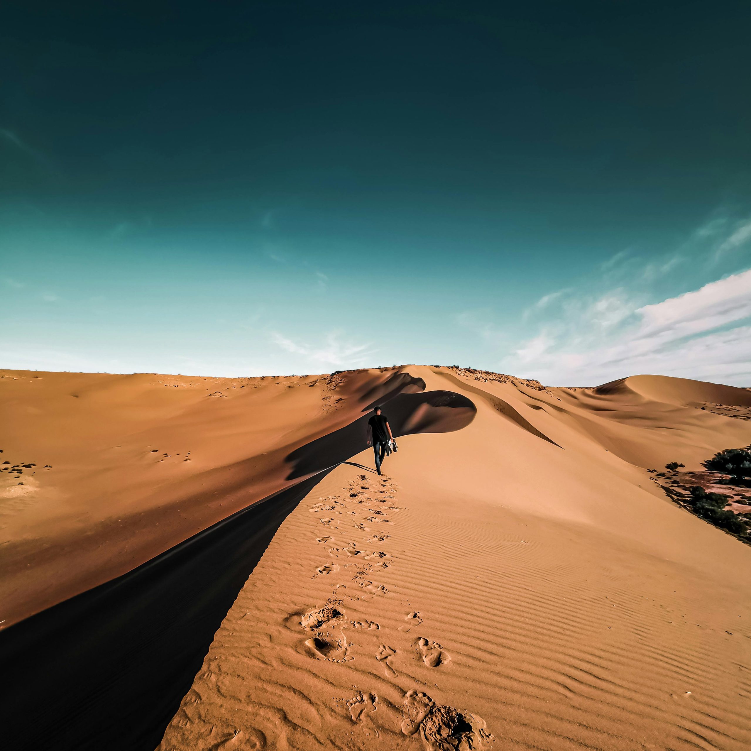 gilded-nomad-1-scaled-2